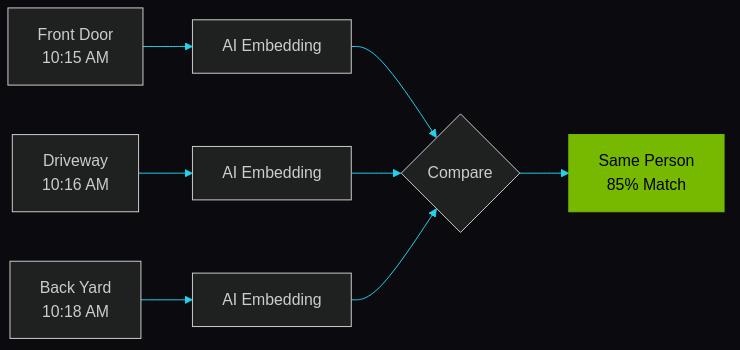 Entity Re-Identification Flow showing how detections from multiple cameras (Front Door, Driveway, Back Yard) are processed through AI to generate visual embeddings, which are then compared using cosine similarity to identify matching entities across camera views